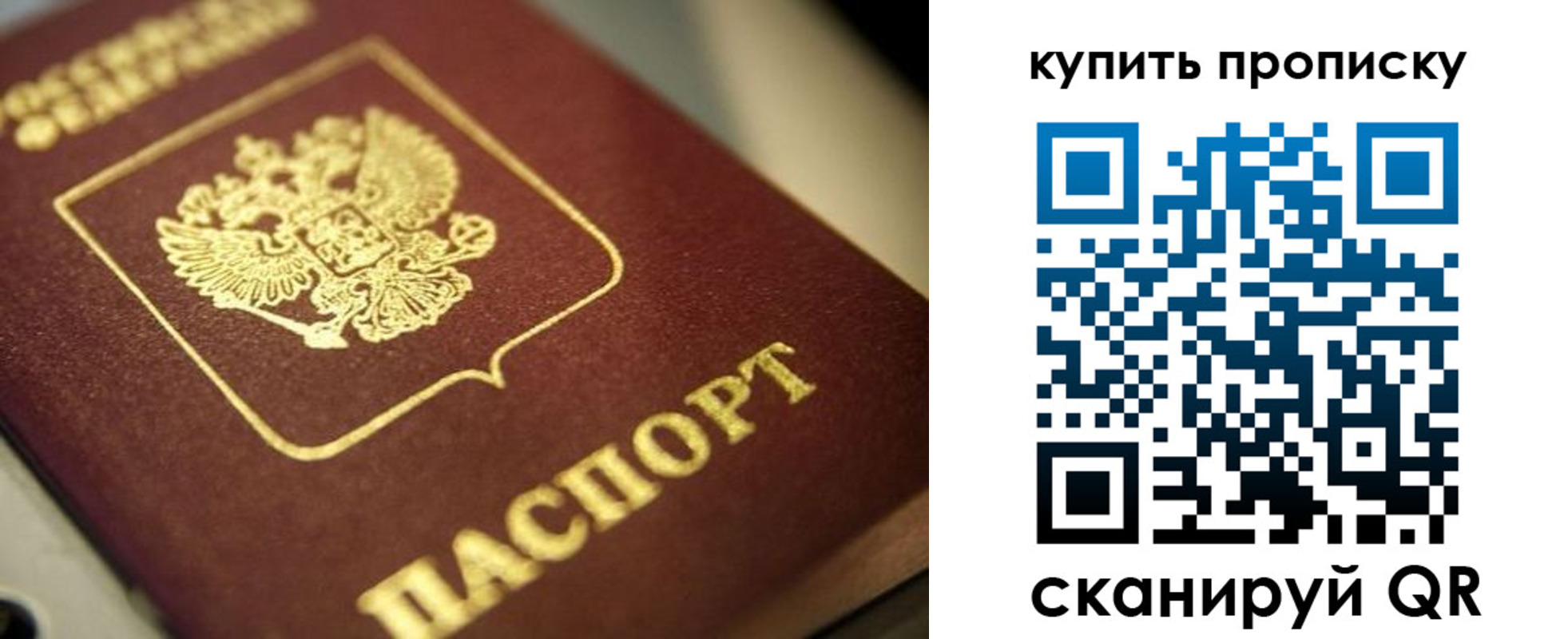 прописка поиск в Дятьково
